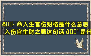 🕷 命入生官伤财格是什么意思（入伤官生财之局这句话 🌹 是什么意思）